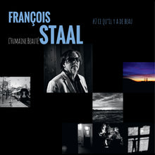 Load image into Gallery viewer, L'humaine beauté #2 Ce qu'il y a de beau (Vinyle)