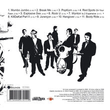 Cargar imagen en el visor de la galería, 100 Years of Musical Spirit (CD)