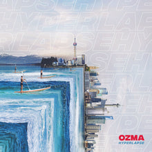 Load image into Gallery viewer, Discographie Ozma (CD)
