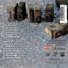 Load image into Gallery viewer, Périple en Soundpainting / Bric à brac (CD)
