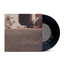 Load image into Gallery viewer, In a Sky Made out of Gold (Vinyle)
