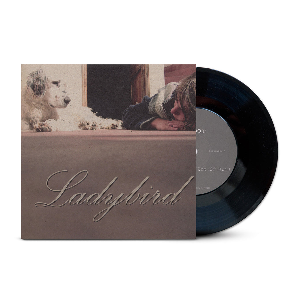 In a Sky Made out of Gold (Vinyle)